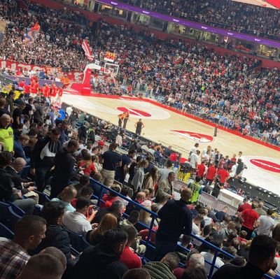 Gogibrvenica's profile picture. 