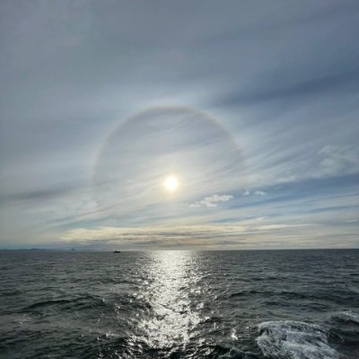 Digby952's profile picture. 