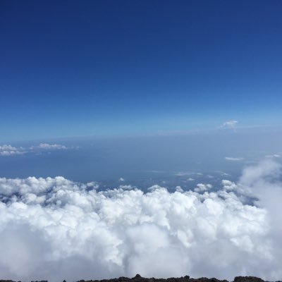 yafFibcDAT88774's profile picture. 推し専用アカ