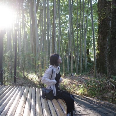 chaichii｜旅好き女子の旅記録さんのプロフィール画像