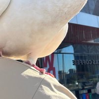 XuC hri s (@hrixuc66551) 's Twitter Profile