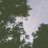 skycloudss__'s profile image