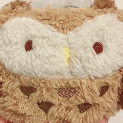 shiromachiさんのプロフィール画像