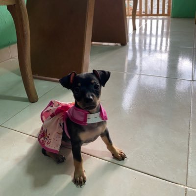 ISA_BARCO1988's profile picture. Peace & Love 💞💞