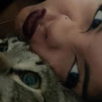 タミレス (@thamiresaug) 's Twitter Profile