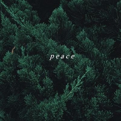 BrianOchie63407's profile picture. 