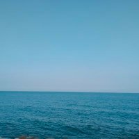 Selda🏊🏼♀️ (@selda39916352) 's Twitter Profile