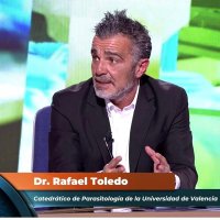 Rafa Toledo (@alfwarrior) 's Twitter Profile