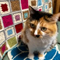 み よ (@miyo30804774) Twitter profile photo