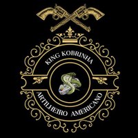 King Kobrinha(@KingKobrinha) 's Twitter Profile Photo