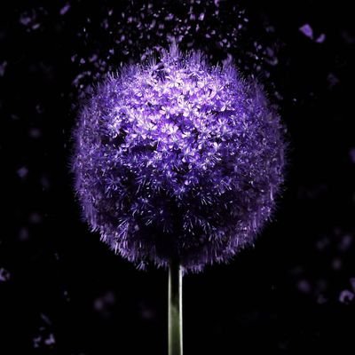 mighty_kunju's profile picture. 
