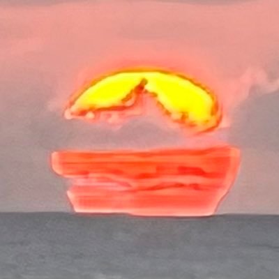 alan_skrivanek's profile picture. deplorable conservative 
reborn Twitter user