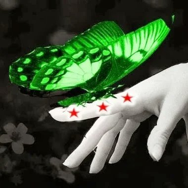 SYRIAFREEDOM9's profile picture. Fighting for Freedom, Peace & Equality 4 all. END PAIN & SUFFERING!!!!
♥ ⋆ ℒ♥Ṽℰ ⋆ ♥