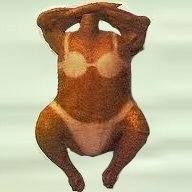 晶さんのプロフィール画像