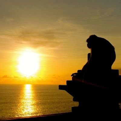 hu_makick89's profile picture. 