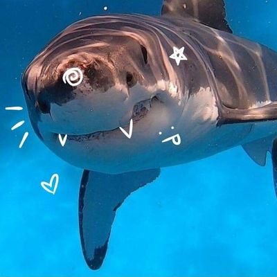 :P