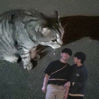 たにしま (@miminomizo) 's Twitter Profile