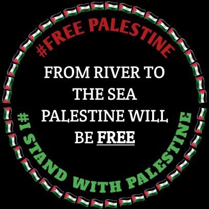 れんちゃん@FREE PALEST1NE🇵🇸🇵🇸さんのプロフィール画像