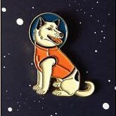 zvzzvv's profile picture. 