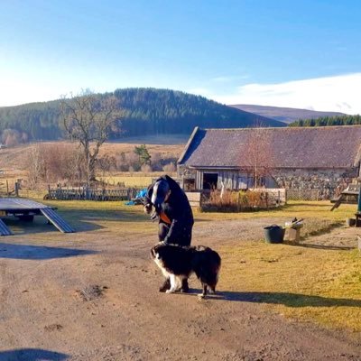 Khatteebk's profile picture. 