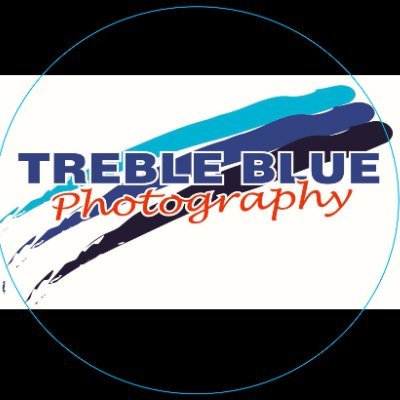 TrebleBlue Profile Picture