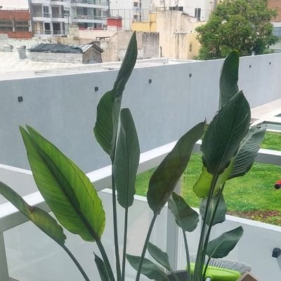 JuanJuandenam's profile picture. 