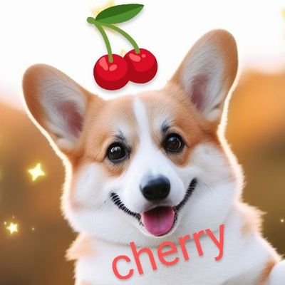 🌈🐶チェリー🍒♀️ 09/01/20-21/10/28 😇12歳9ヶ月 Welsh Corgi Pembroke 🐶キララ✨♀️ 12/12/01～ Long Coat Chihuahua 現在別居してます🥲   #AIイラスト を利用して🍒に遊んでもらっています😁
コギLOVEが溢れまくってます😊