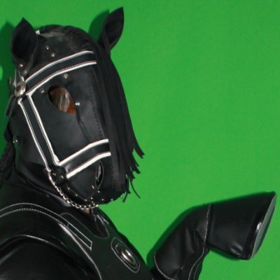 Hello!! I´m a black pony from Spain and I like #ponyplay #bdsm #humanpony