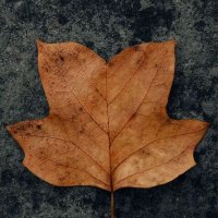 عبدالله الأحمدي (@alabdullah971) Twitter profile photo