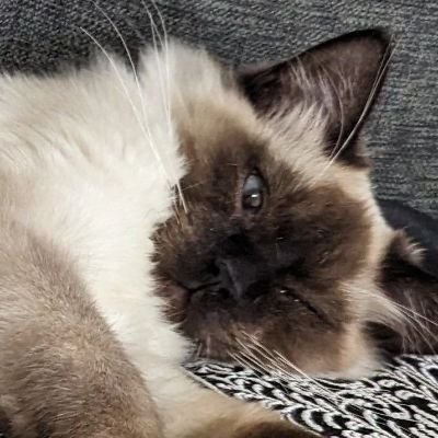 Coreyisbored28's profile picture. 41 🔁
taken