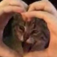 ๊ฉ (@falsejupiter) 's Twitter Profile