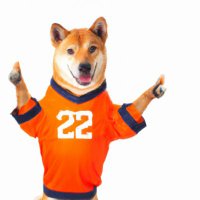 RoLandRover (@rolandrover22) 's Twitter Profile Photo RoLandRover (@rolandrover22) 's Twitter Profile Photo