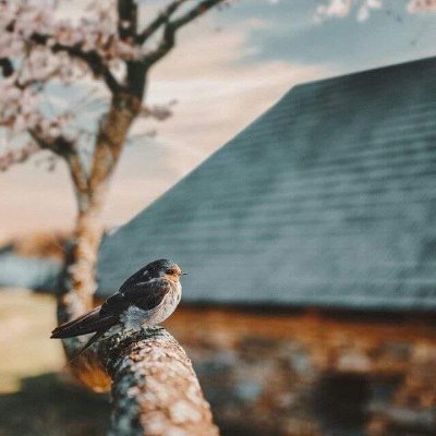 ftdhkr44's profile picture. 