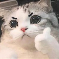초초 (@cxxxtwins) 's Twitter Profile Photo 초초 (@cxxxtwins) 's Twitter Profile Photo