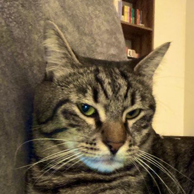 aysecansuper's profile picture. 4. beyaz