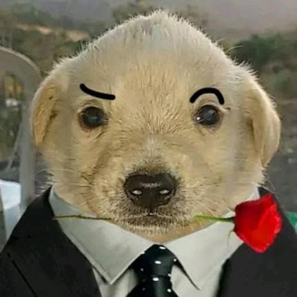 ErickLlantoxd's profile picture. 