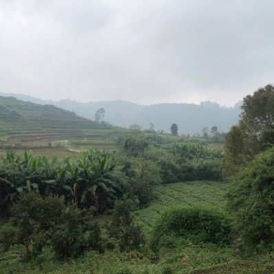 gouthamk_k's profile picture. Party freak “single”love to travel