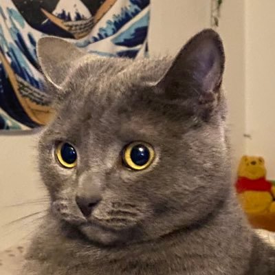 Tikki05193115's profile picture. cs player since 2015 and skins enjoyer. 😗
