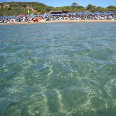 pineale77's profile picture. 