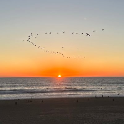 ymr3333's profile picture. 