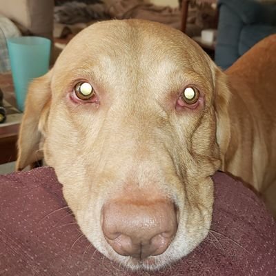 Dudley_tweets Profile Picture