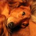 Odin (@odinmom) Twitter profile photo Odin (@odinmom) Twitter profile photo