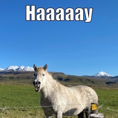 AnneCompanion's profile picture. Photographer, nature lover, cat fan, weather weenie, Trekkie, she/her, woke AF