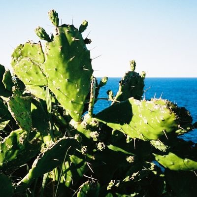 ben_x_curacao's profile picture. 