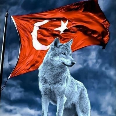 Bardemts's profile picture. İnsan kaybettiğinde değil,
Vazgeçtiğinde yıkılır.