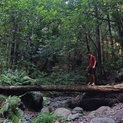 Roi_Groveiro's profile picture. Docente, celtista e galego ante todo.