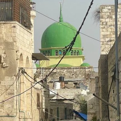 asadalfaz3at's profile picture. 