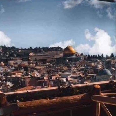 WafaAl3reen's profile picture. 