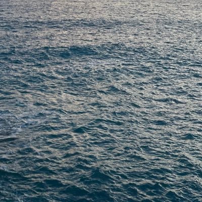 ThaisBoutault's profile picture. 