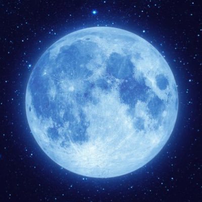 cheezemarmalade's profile picture. 여혐세상에 고민이 많다